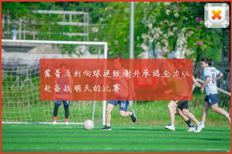 蒙哥马利向球迷致谢并承诺全力以赴备战明天的比赛